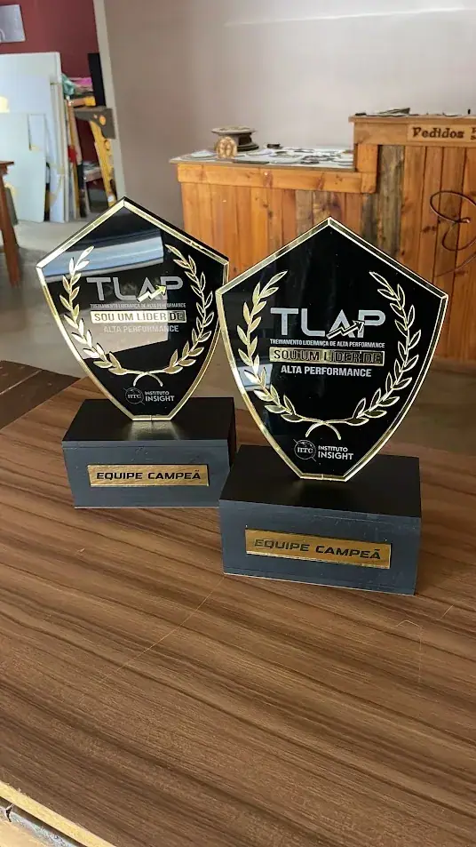 Dois troféus pretos e dourados com inscrição de equipe campeã e vice-campeã